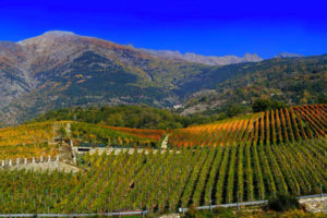 Vini di montagna - Maison Vigneronne Grosjean