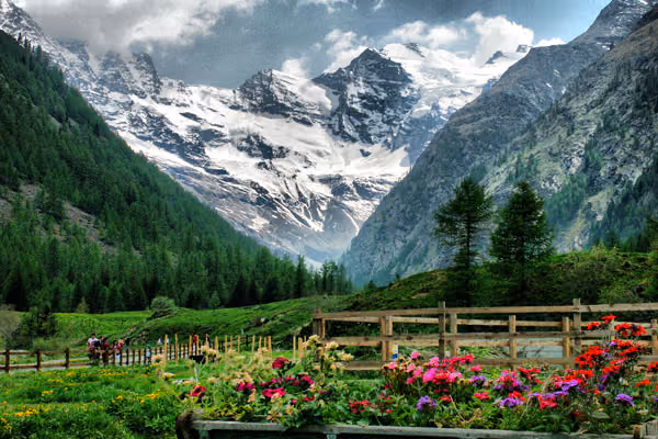 Nature